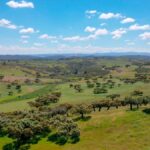 Descubre Campo Oliva, la finca comunal más extensa de España ¡Y déjate sorprender!