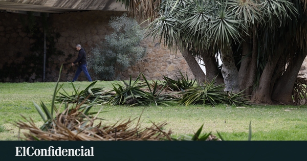 Tormentas sin Precedentes Azotan Valencia: Vientos Huracanados y Lluvias Torrenciales Dejan un Rastro de Devastación