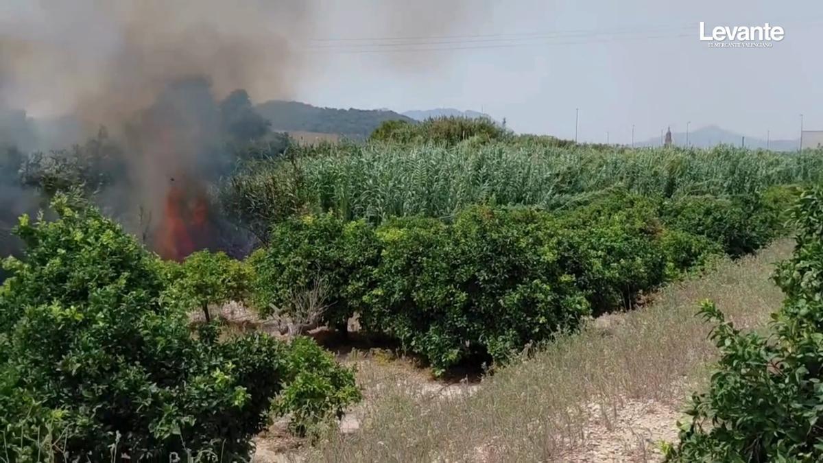 Un incendio de vegetación en el barranco de Beniteixir activa los dispositivos de emergencia en plena franja del Safor