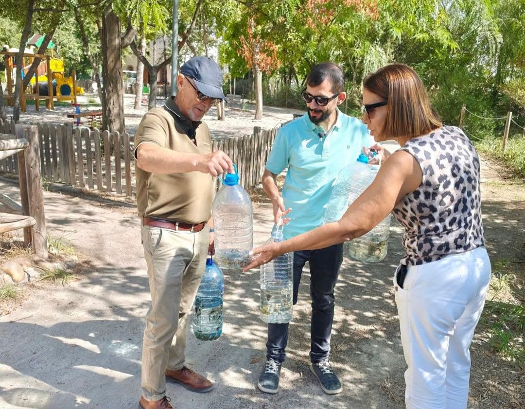 Oliva recupera el croar de las ranas en l'Hort de la Bosca: una victoria para la biodiversidad urbana
