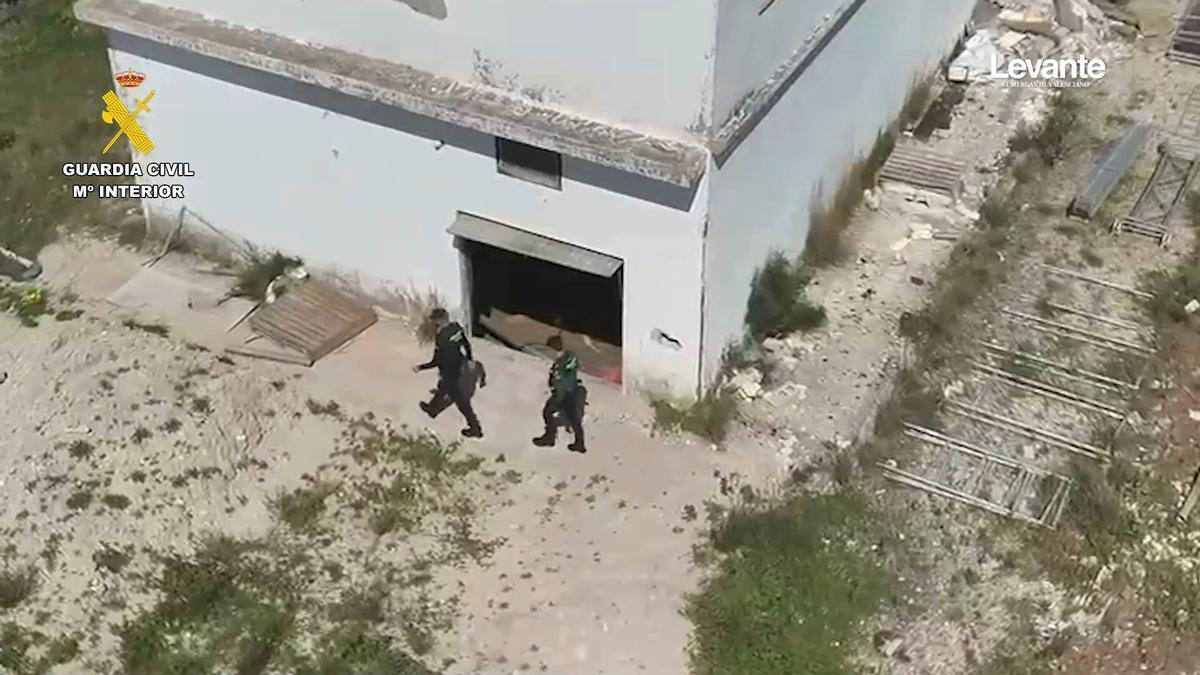 Un detenido tras desmantelar en Oliva una plantación de 410 plantas de marihuana en floración