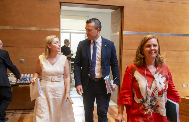 La Oportunidad de los 9,5 Millones: Un An�lisis Cr�tico al 'Pla Obert' de la Diputaci�n de Valencia