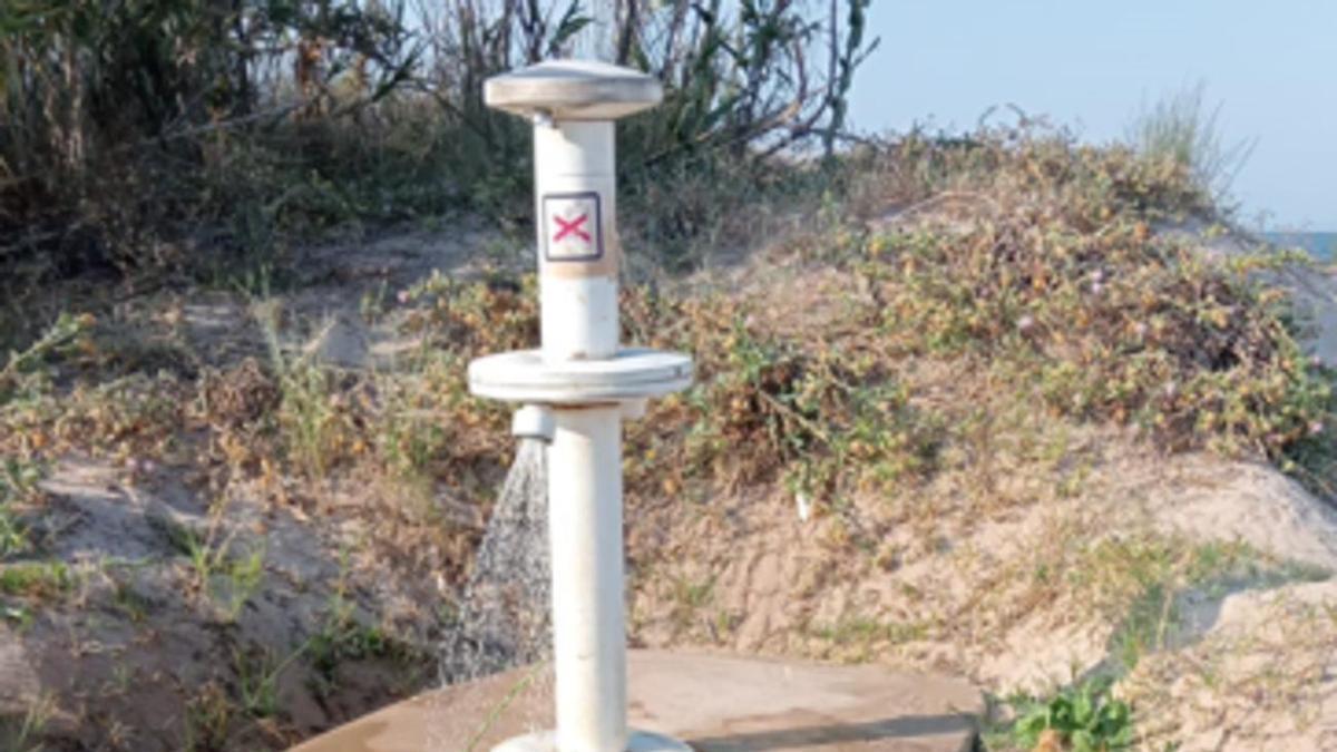 La Problemática de los Lavapiés en las Playas de La Safor: Un Verano de Disfunciones y Reclamaciones